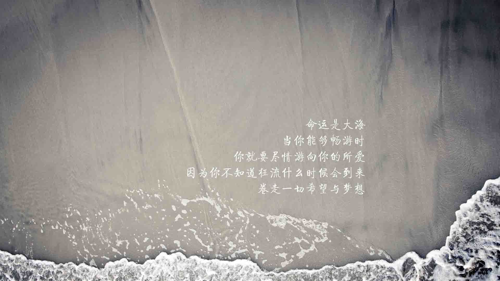 上海海港锋线火力全开，上海海港官方网站