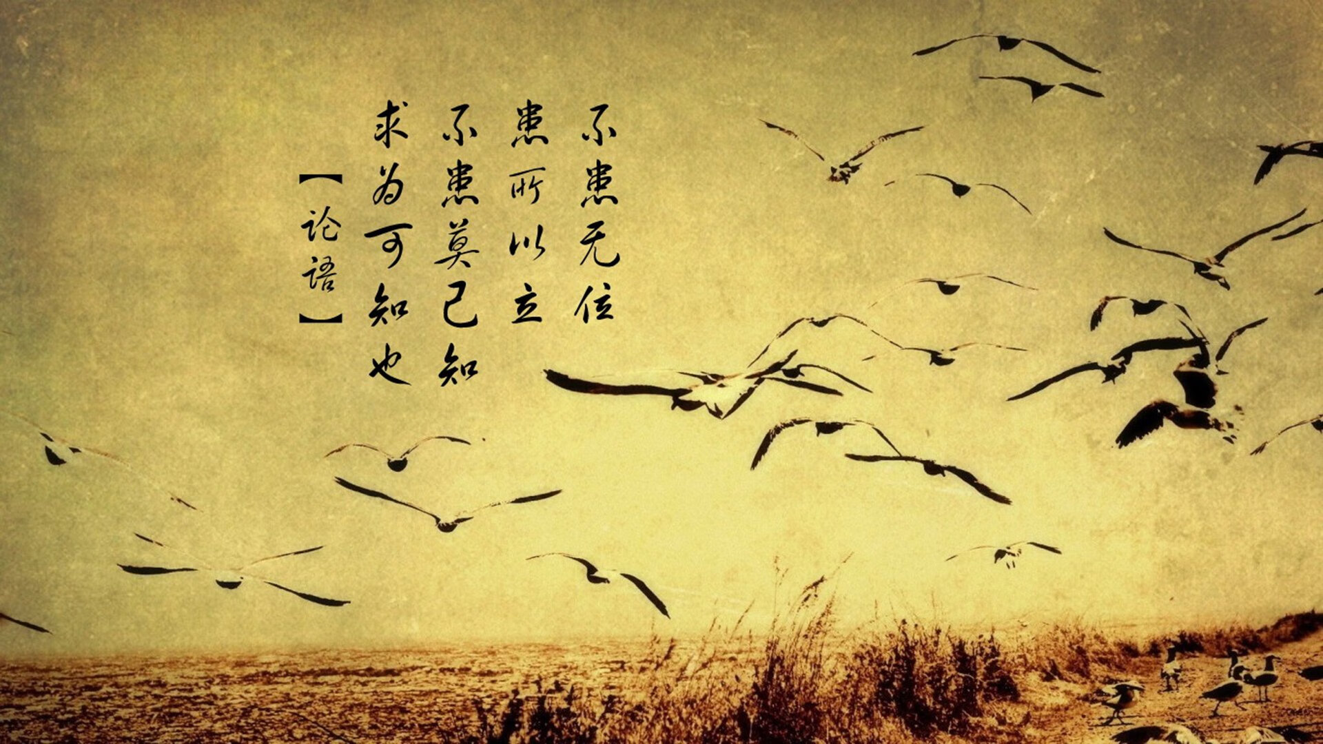 _趣味障碍跑：趣味与挑战兼得_，趣味障碍赛作文