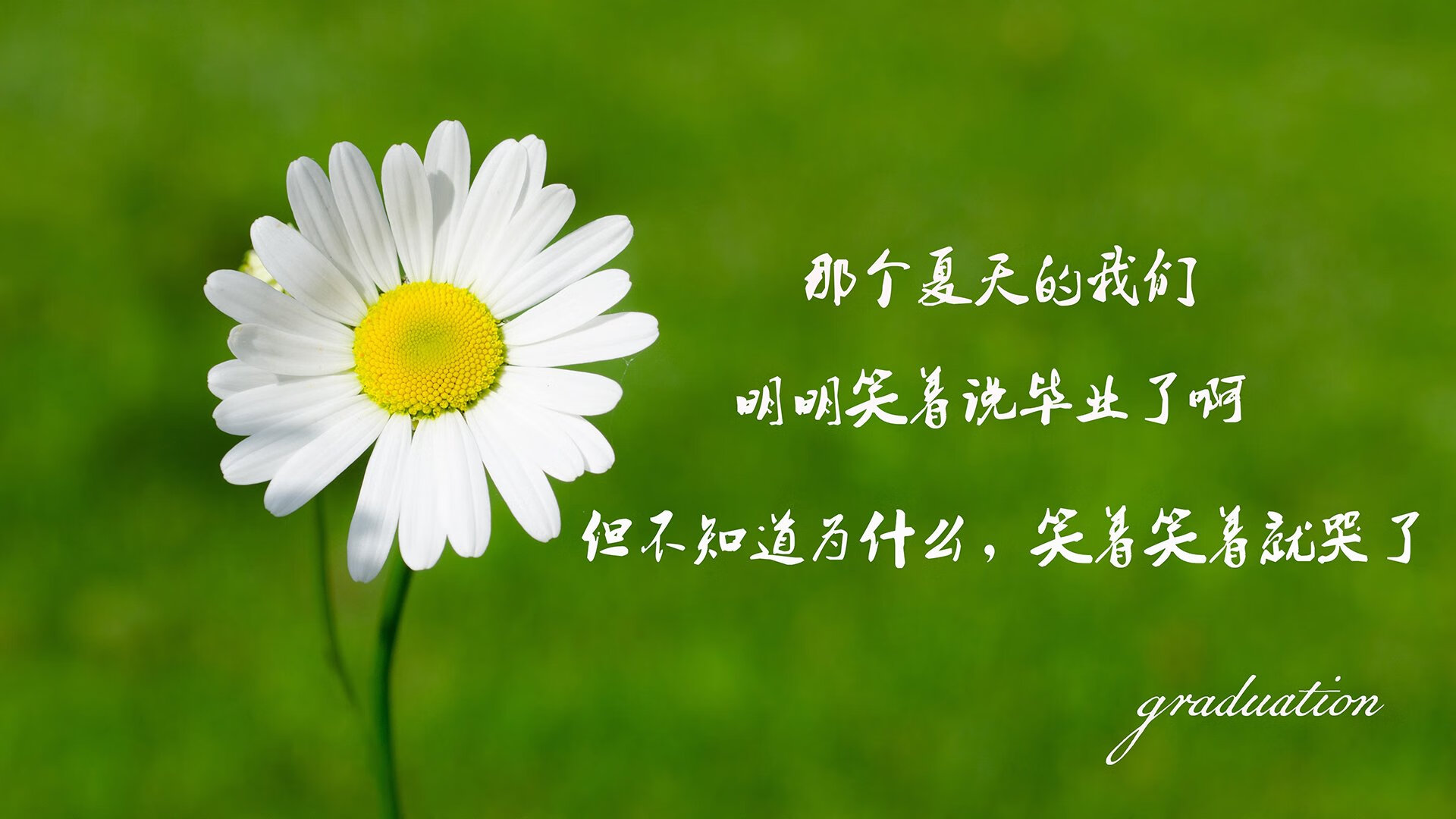 《硬核玩家的背后：高水平操作的秘密》，硬核玩家怎么描述