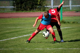 Kysports-中国足球俱乐部运营效率调查，中国足球俱乐部运营效率调查问卷