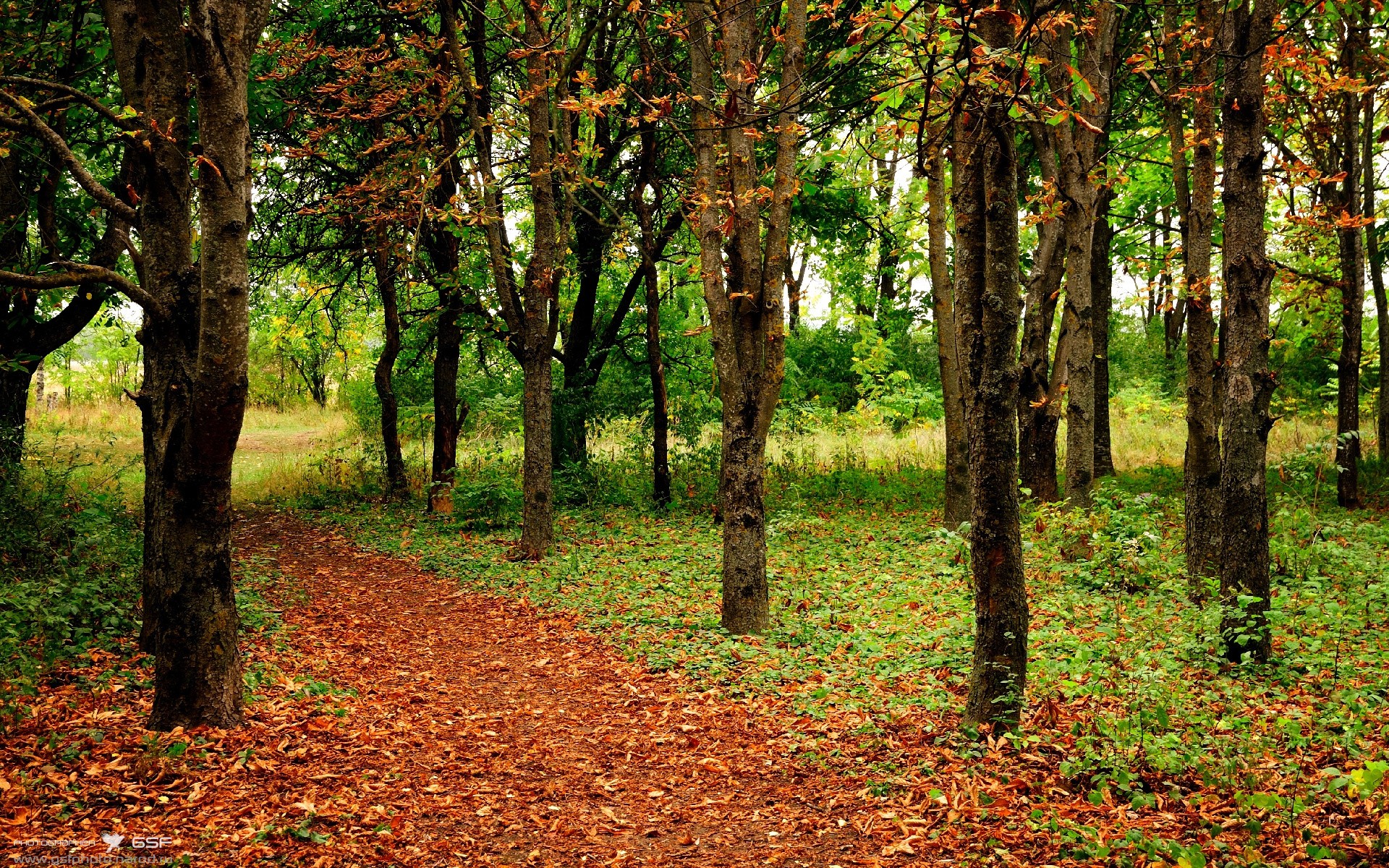 中国男篮主力球员接受专项康复训练,中国男子篮球队训练计划