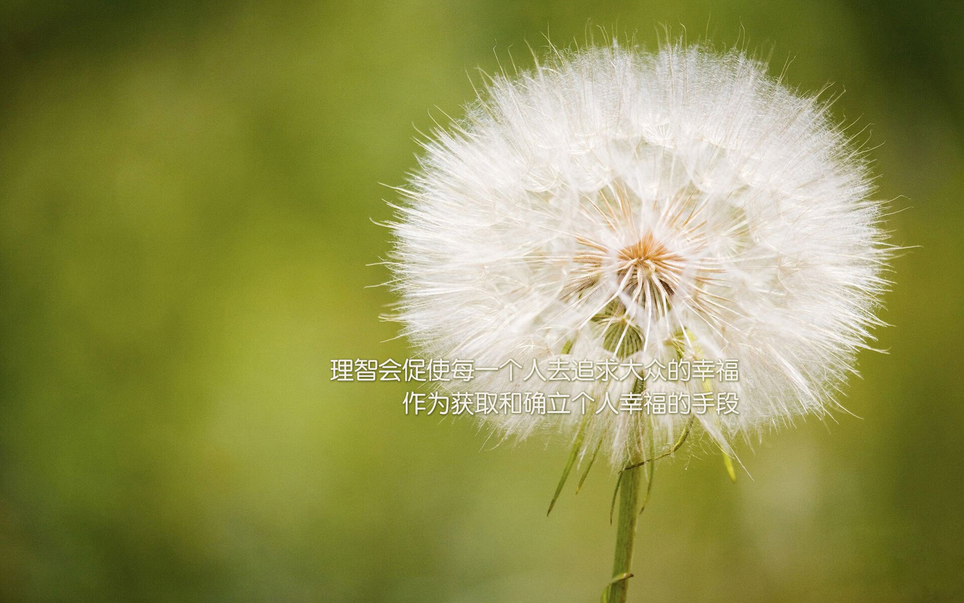 体育新闻中心发布体育内容原创度智能评估工具,体育新闻可视化