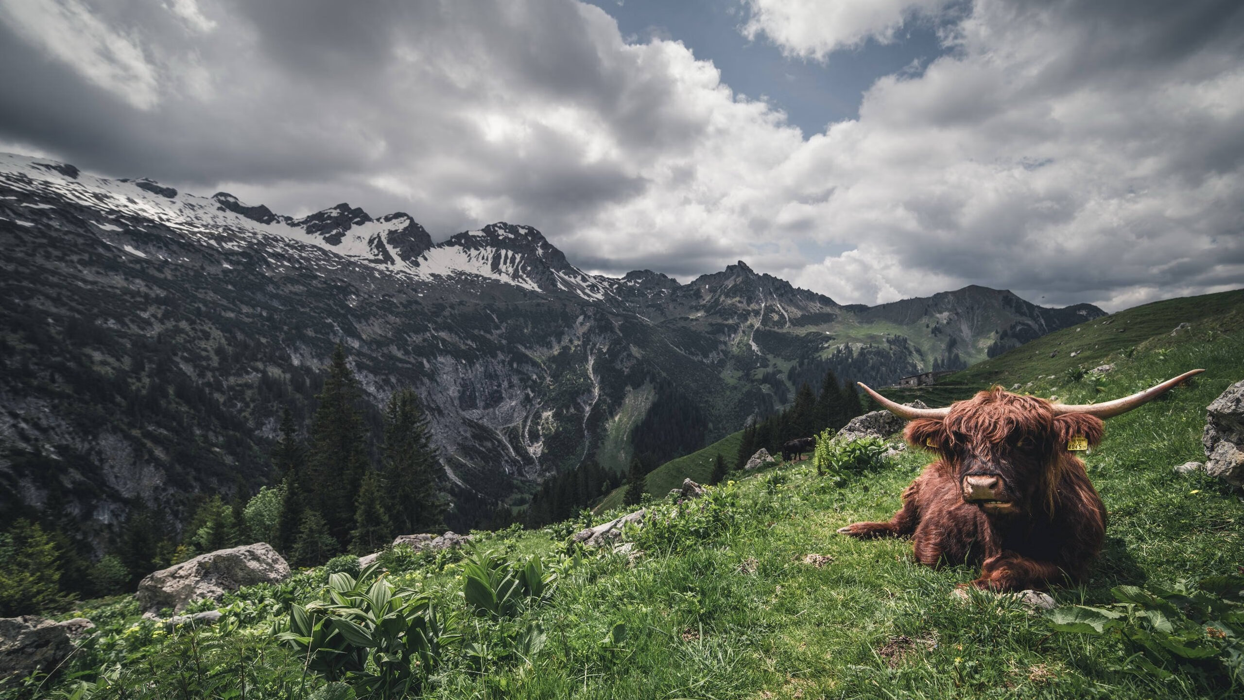 切尔西世界杯夺冠开启新篇章,切尔西世俱杯输给谁了