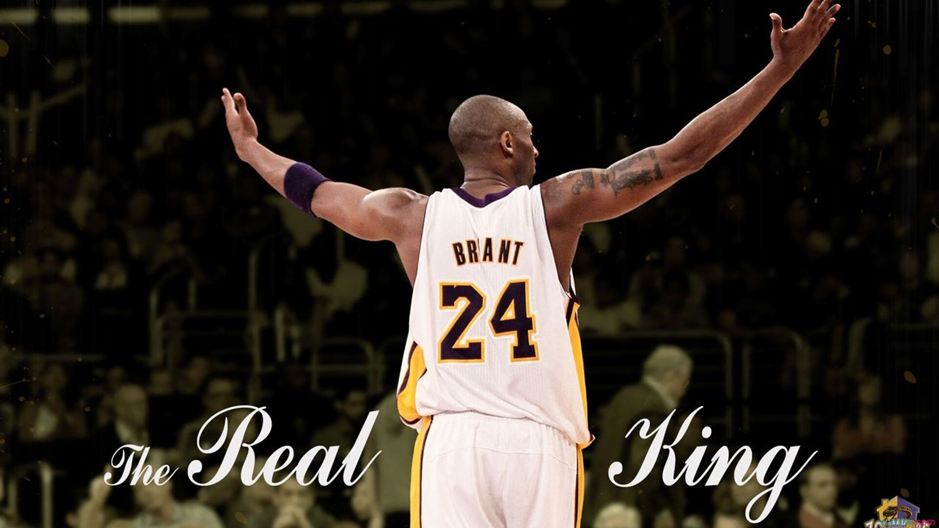 炉石传说 大师巡回赛落幕 Liooon夺冠,炉石大师巡回赛冠军